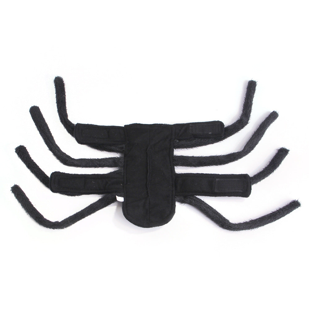 Spider Costume for Cats & Dogs – Petoween (5)