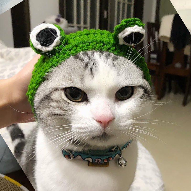 Frog Hat for Cats & Dogs – Petoween (5)