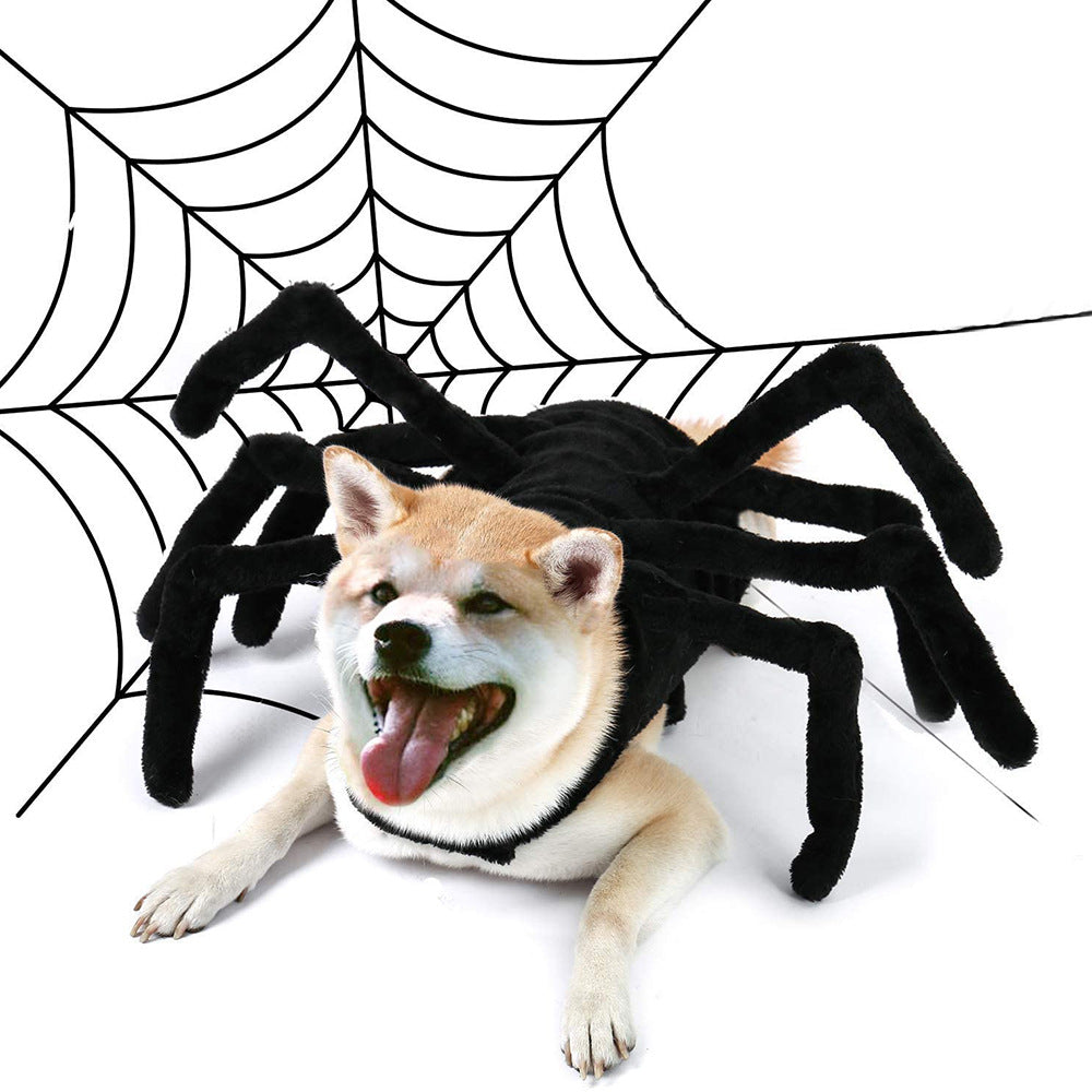 Spider Costume for Cats & Dogs – Petoween