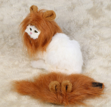 Lion Mane for Cats & Dogs – Petoween (7)