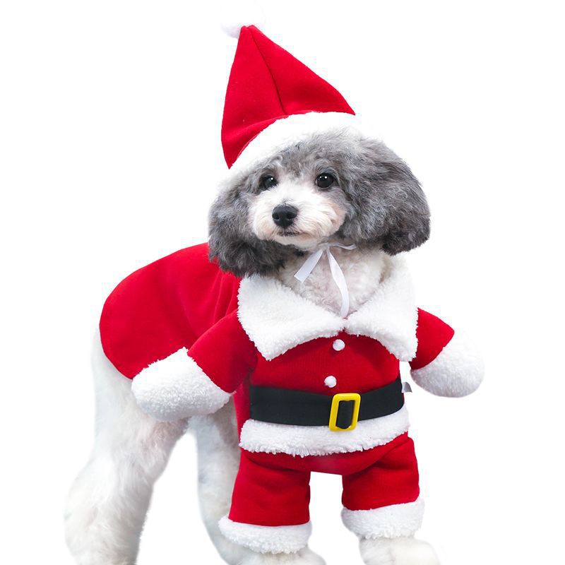 Santa Costume for Cats & Dogs – Petoween
