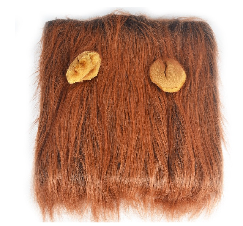 Lion Mane for Dogs – Petoween (5)