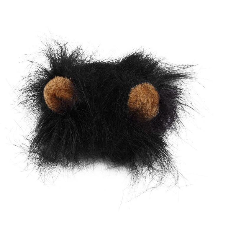 Lion Mane for Cats & Dogs – Petoween (5)