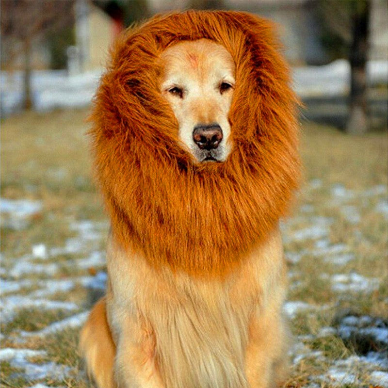 Lion Mane for Dogs – Petoween