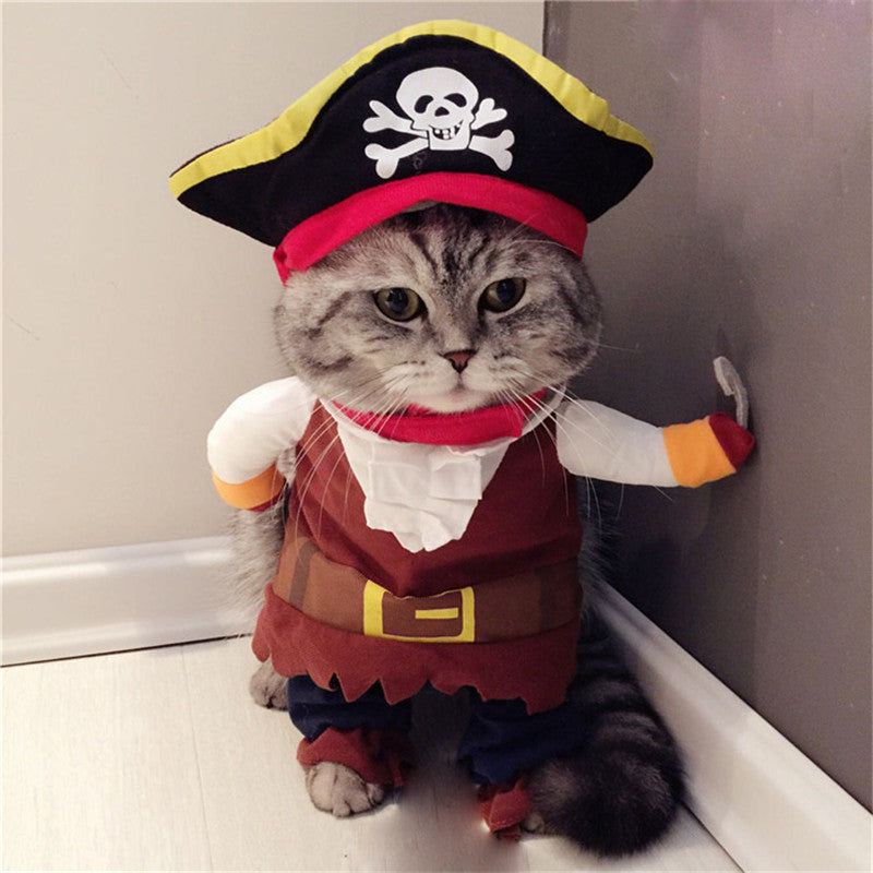 Pirate Costume for Cats & Dogs – Petoween