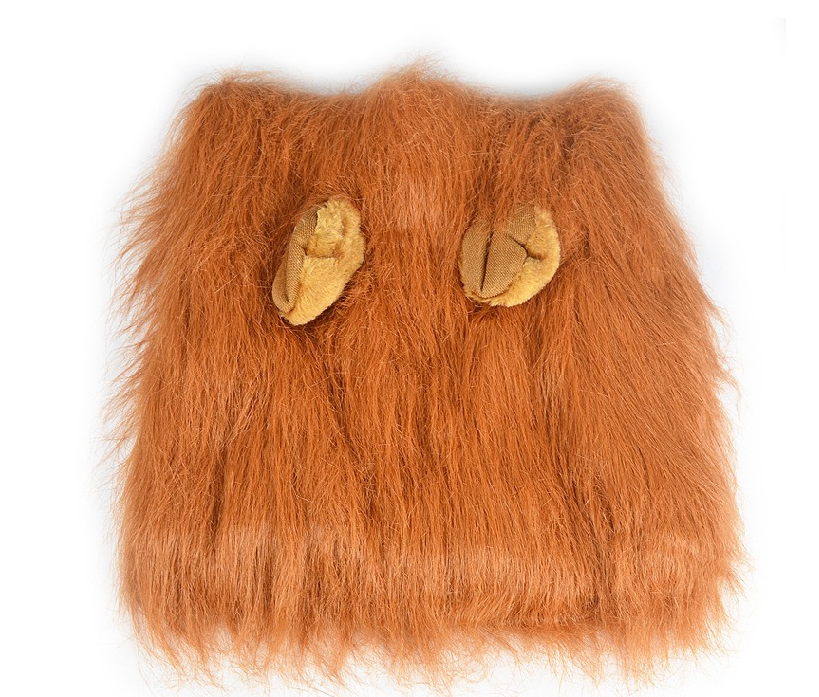 Lion Mane for Dogs – Petoween (3)