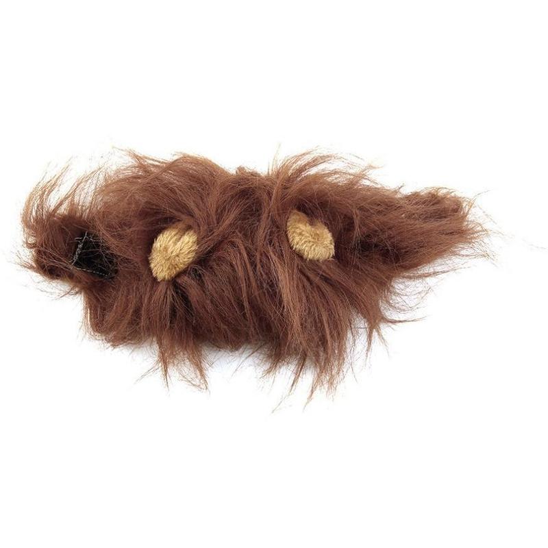 Lion Mane for Cats & Dogs – Petoween (6)