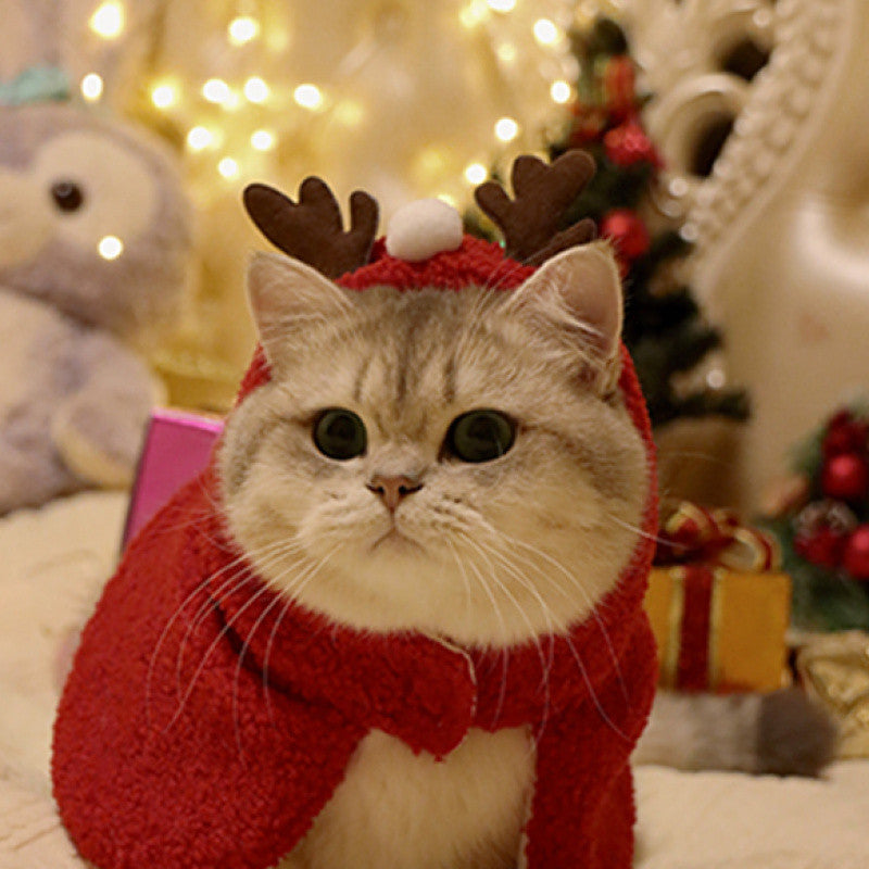 Reindeer Costume for Cats & Dogs – Petoween (2)