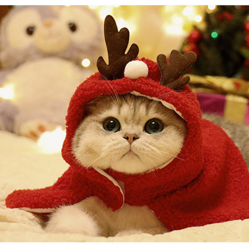 Reindeer Costume for Cats & Dogs – Petoween (6)