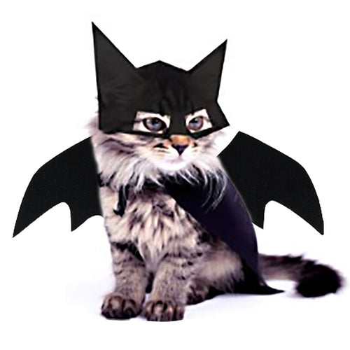 Bat Wings & Collar for Cats & Dogs – Petoween