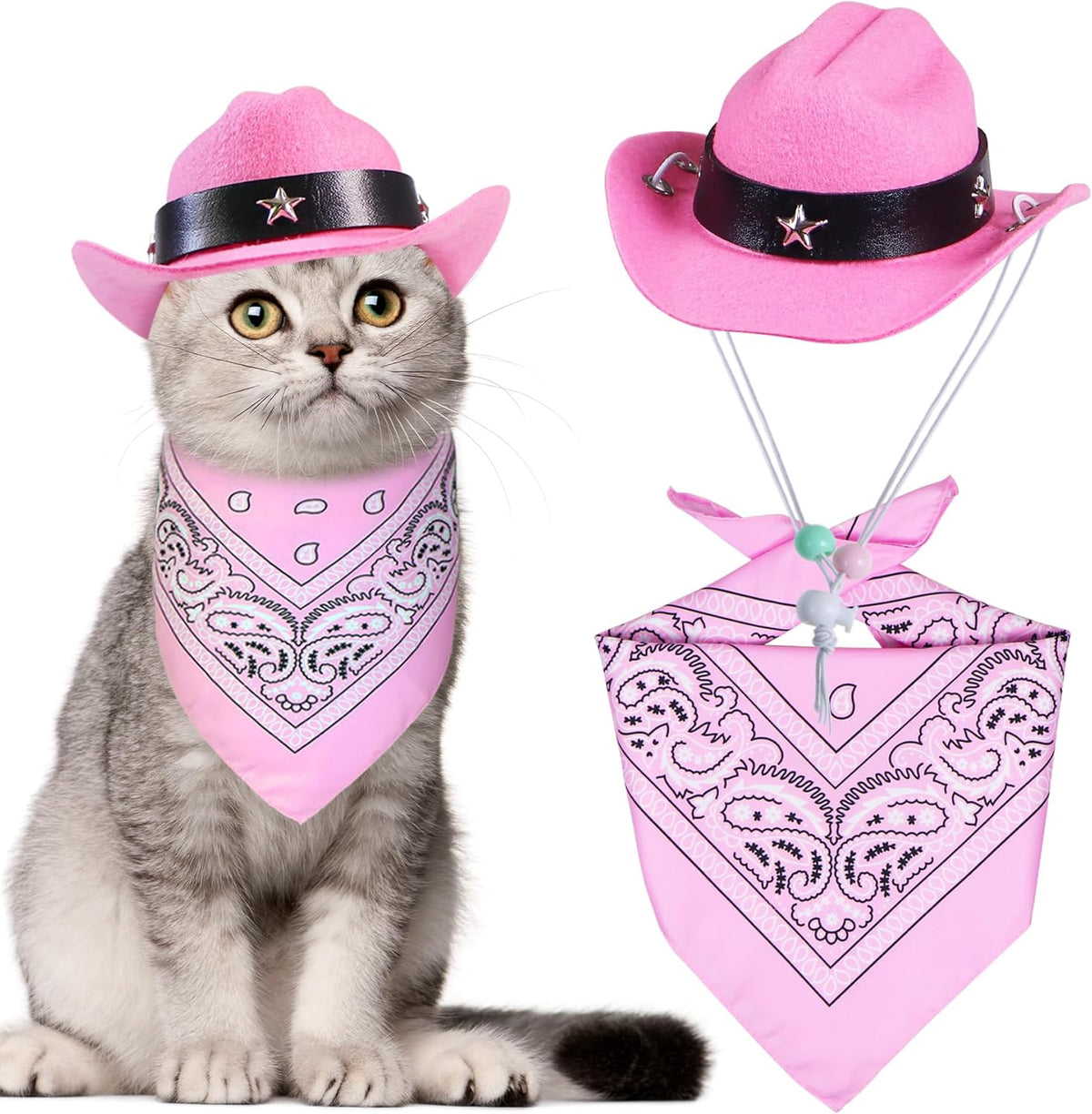 Cowboy Hat & Bandana for Cats & Dogs – Petoween (4)