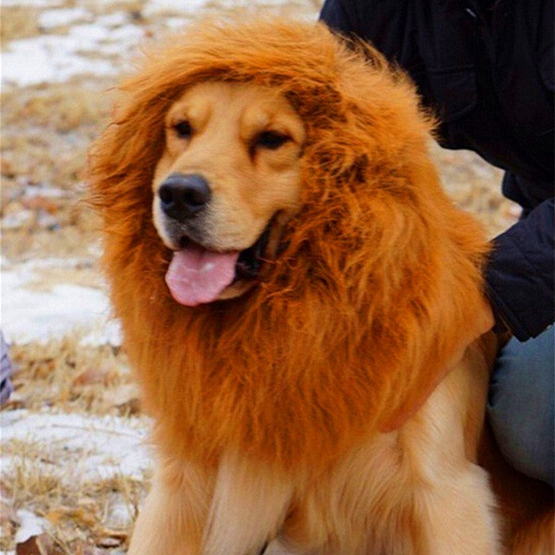 Lion Mane for Dogs – Petoween (2)