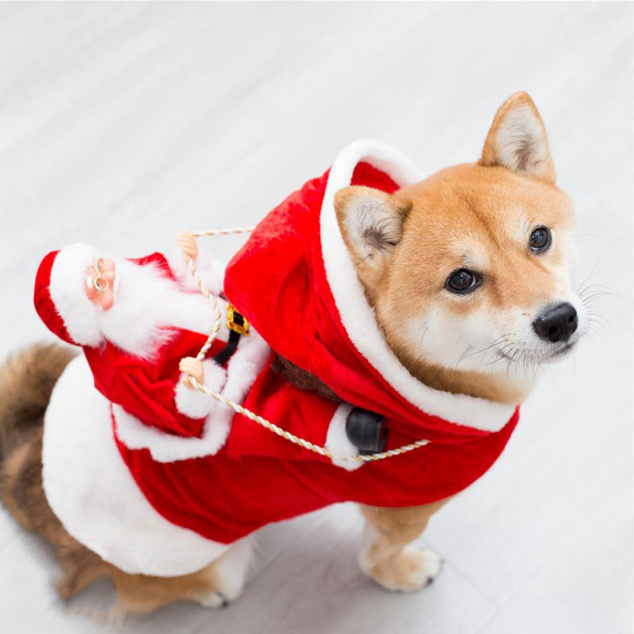 Santa Rider Costume for Cats & Dogs – Petoween