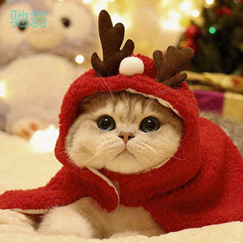 Reindeer Costume for Cats & Dogs – Petoween