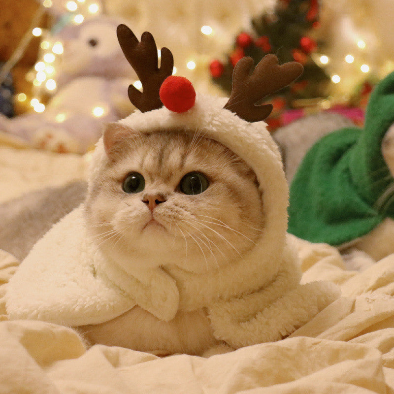 Reindeer Costume for Cats & Dogs – Petoween (4)