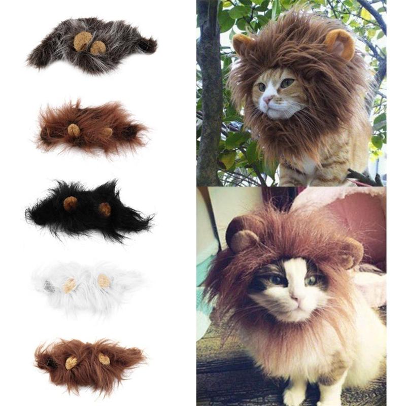 Lion Mane for Cats & Dogs – Petoween (2)