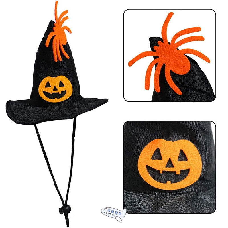 Witch Hat & Collar for Cats & Dogs – Petoween (2)