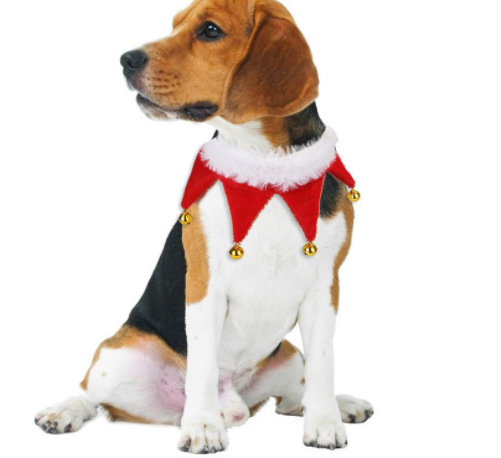 Cape & Hat Set for Cats & Dogs – Petoween (15)