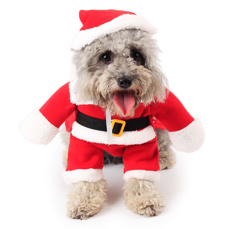 Santa Costume for Cats & Dogs – Petoween (8)