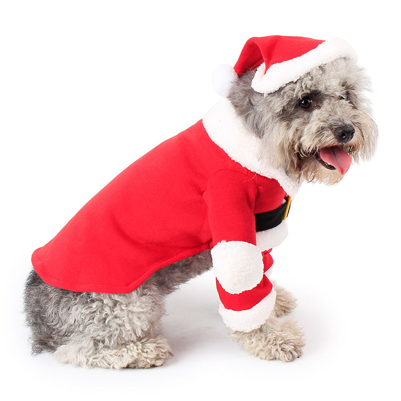 Santa Costume for Cats & Dogs – Petoween (7)