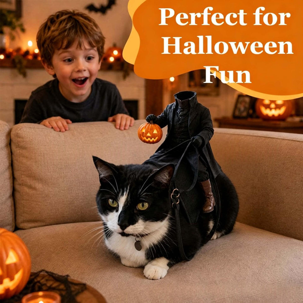 Headless Horseman Costume for Cats – Petoween (2)