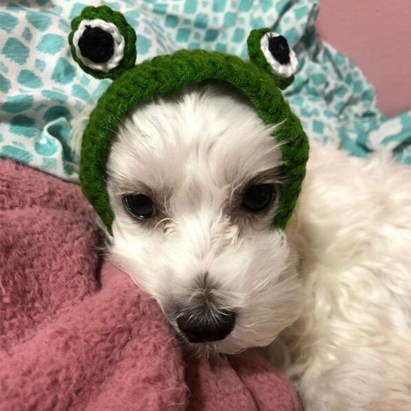 Frog Hat for Cats & Dogs – Petoween (2)