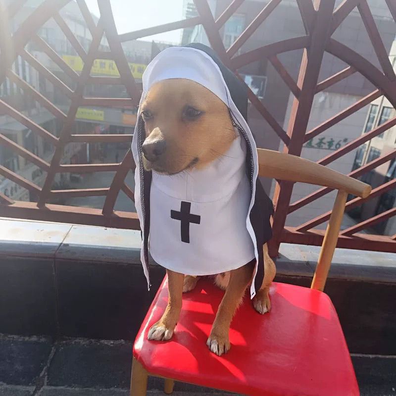Nun Costume with Cross for Cats & Dogs – Petoween (7)