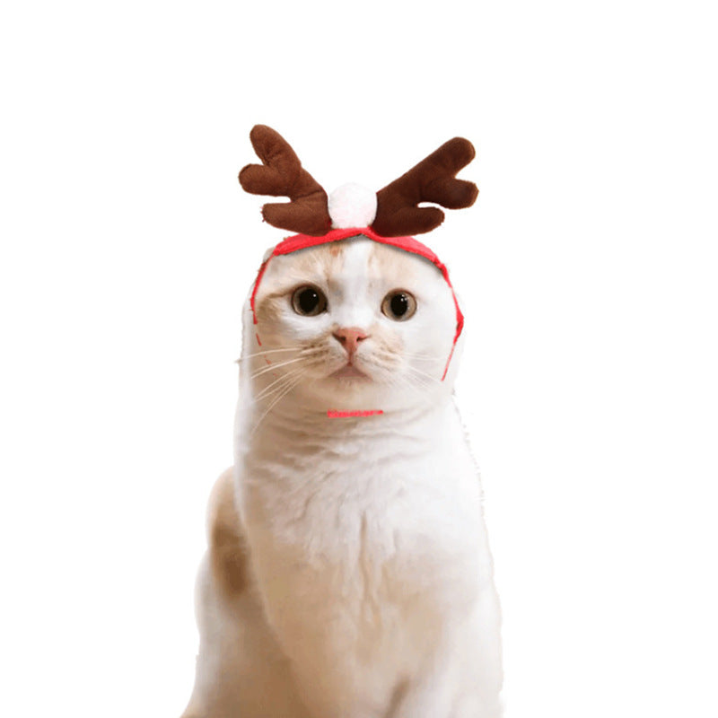 Cape & Hat Set for Cats & Dogs – Petoween (4)
