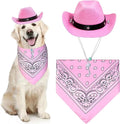 Cowboy Hat & Bandana for Cats & Dogs – Petoween