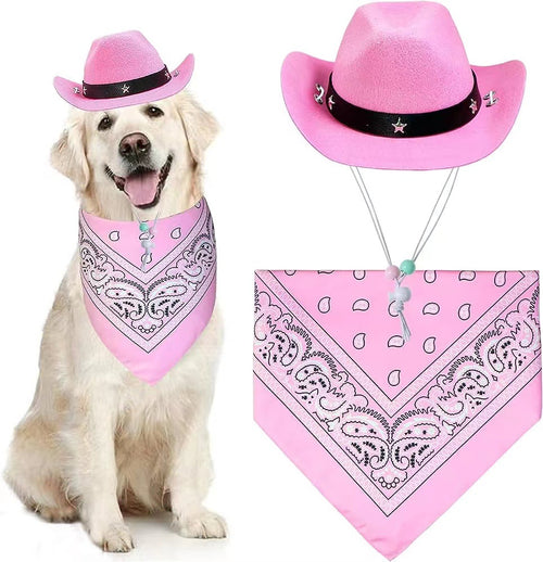 Cowboy Hat & Bandana for Cats & Dogs – Petoween