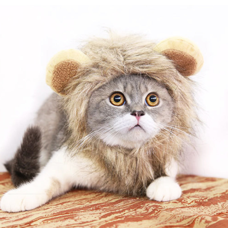 Lion Mane for Cats & Dogs – Petoween
