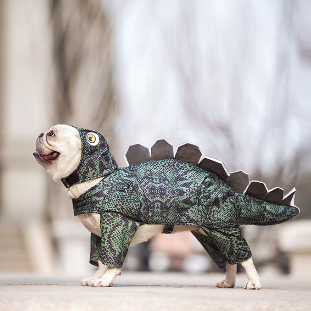 Dinosaur Costume for Cats & Dogs – Petoween
