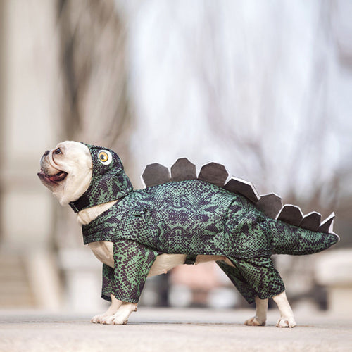 Dinosaur Costume for Cats & Dogs – Petoween