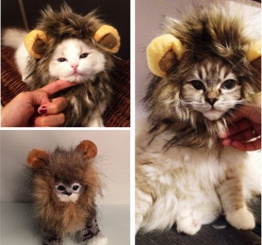 Lion Mane for Cats & Dogs – Petoween (3)