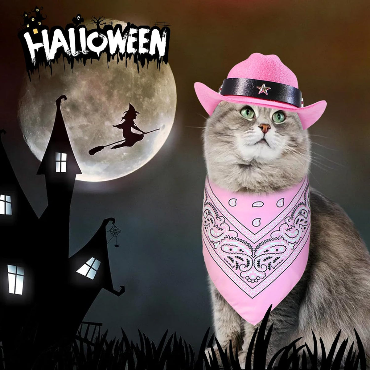 Cowboy Hat & Bandana for Cats & Dogs – Petoween (2)