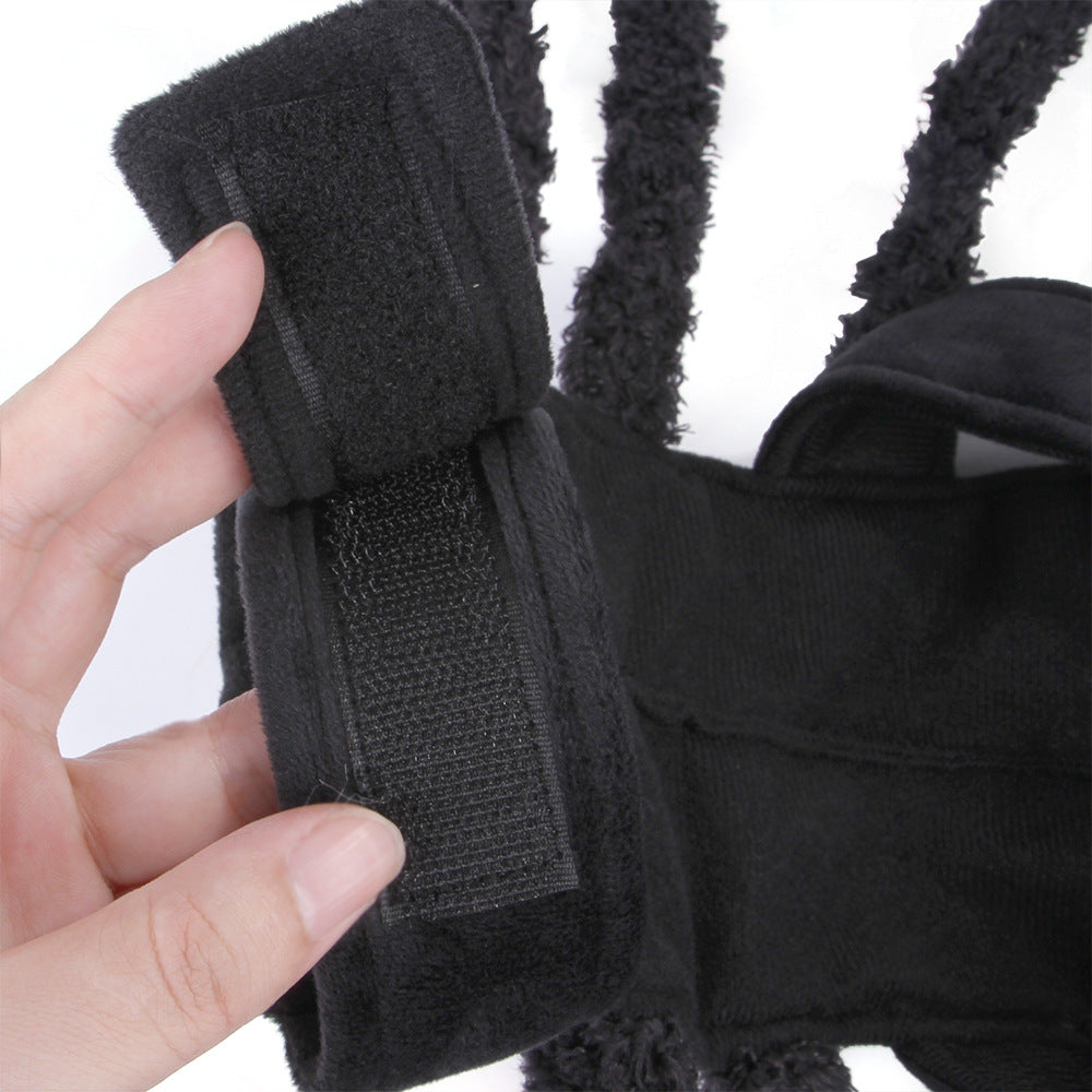 Spider Costume for Cats & Dogs – Petoween (3)