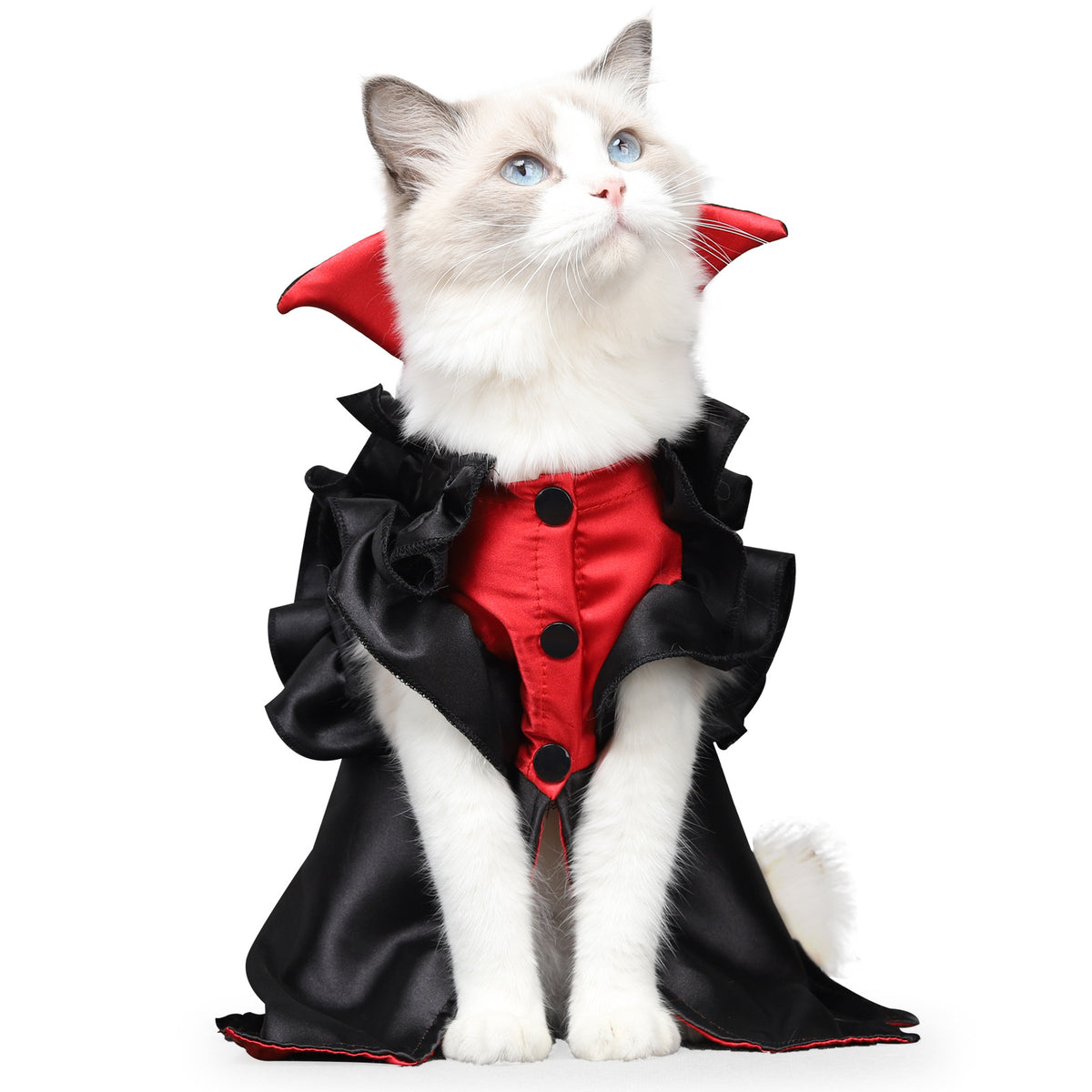Vampire Costume for Cats – Petoween