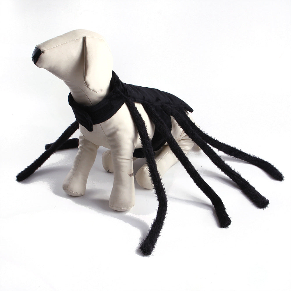 Spider Costume for Cats & Dogs – Petoween (4)