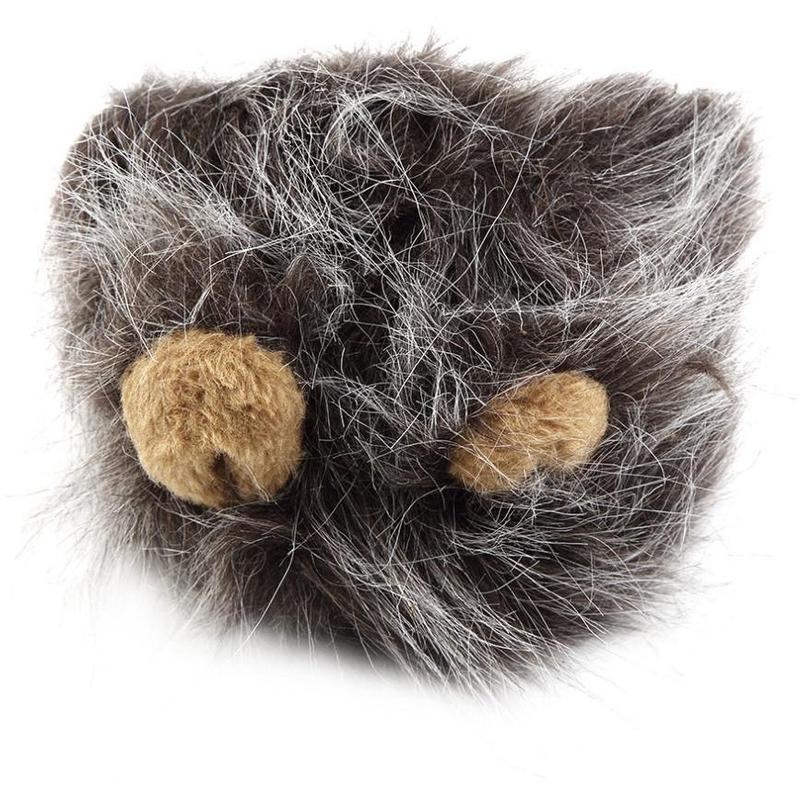 Lion Mane for Cats & Dogs – Petoween (8)
