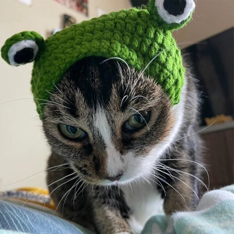Frog Hat for Cats & Dogs – Petoween (4)