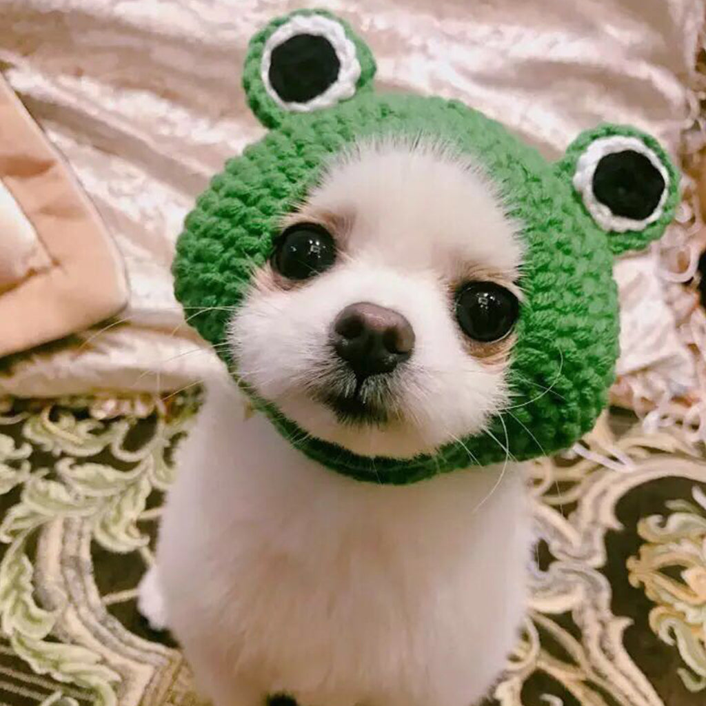 Frog Hat for Cats & Dogs – Petoween