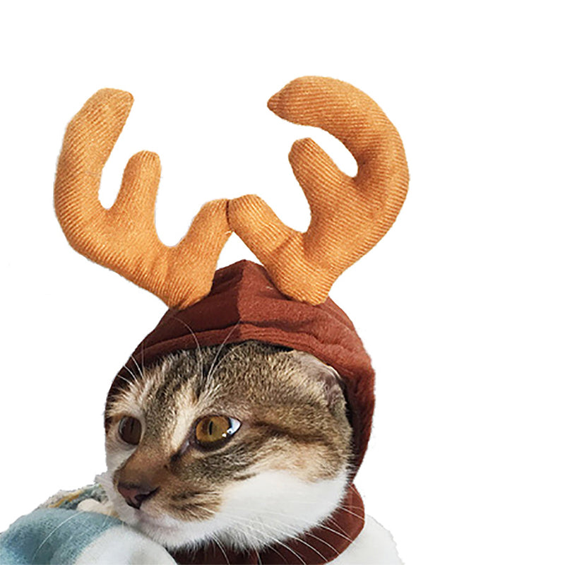 Cape & Hat Set for Cats & Dogs – Petoween (9)