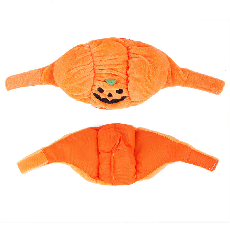 Pumpkin Hat for Cats & Dogs – Petoween (5)