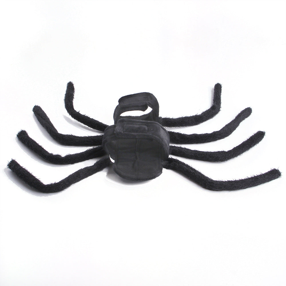 Spider Costume for Cats & Dogs – Petoween (2)