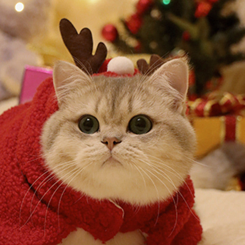 Reindeer Costume for Cats & Dogs – Petoween (3)