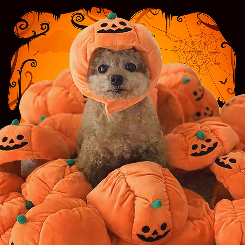 Pumpkin Hat for Cats & Dogs – Petoween