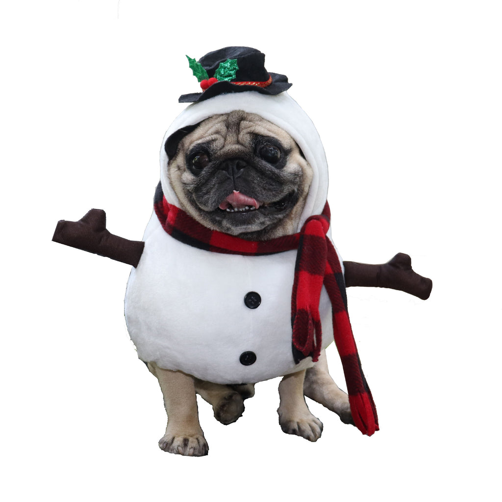 Snowman Costume for Cats & Dogs – Petoween (3)