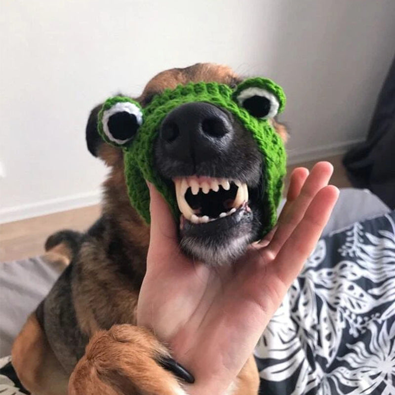 Frog Hat for Cats & Dogs – Petoween (3)