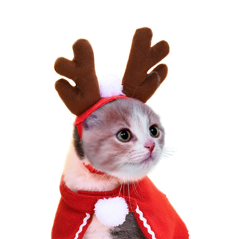 Cape & Hat Set for Cats & Dogs – Petoween (16)