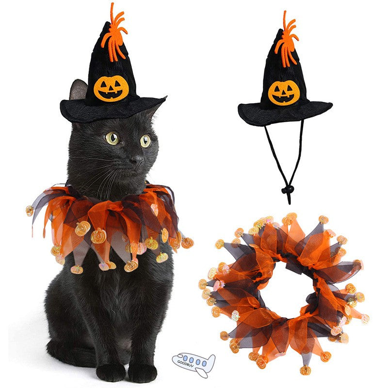 Witch Hat & Collar for Cats & Dogs – Petoween